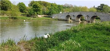 Day Walk in the Nene Valley