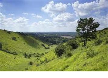 Reminder - Walking & Cycling in the Kent Downs